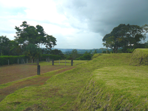 One of the two available lots is to the right of the common corner.